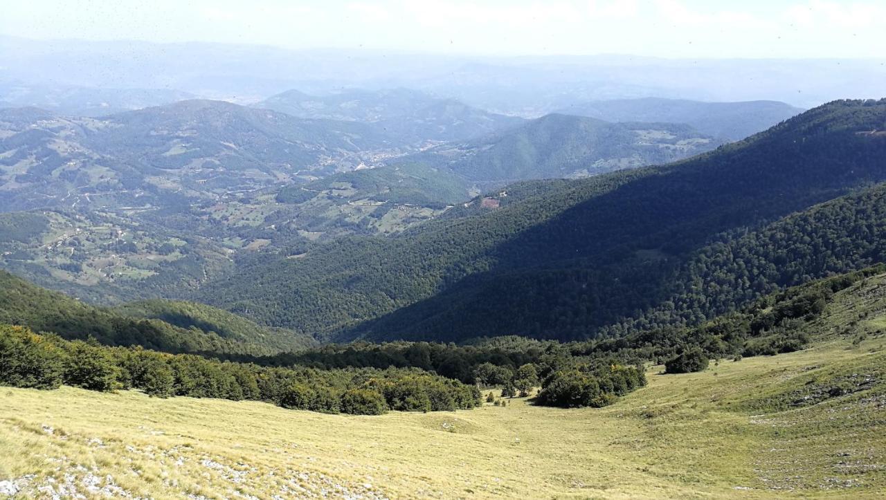 Koliba Pcelica 2 Villa Bijelo Polje Eksteriør bilde