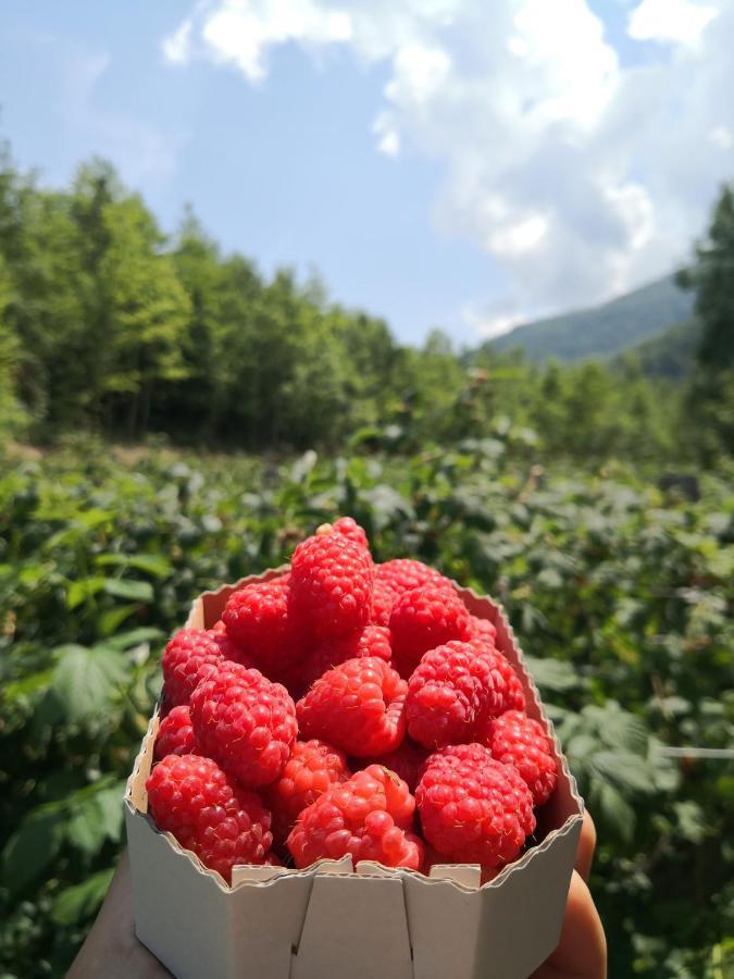 Koliba Pcelica 2 Villa Bijelo Polje Eksteriør bilde